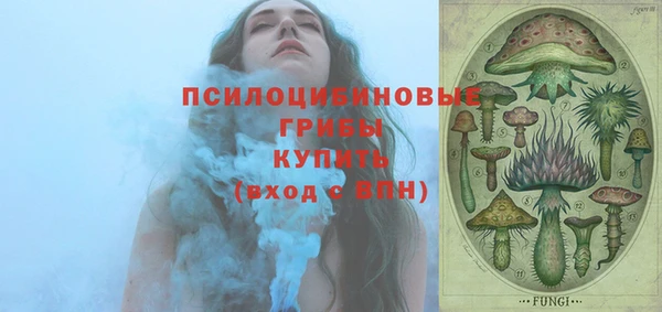 амф Верхний Тагил