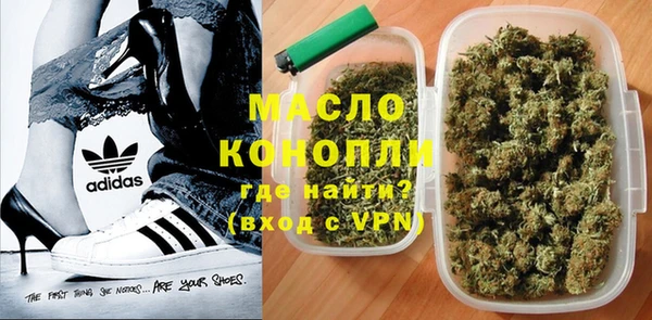 амф Верхний Тагил