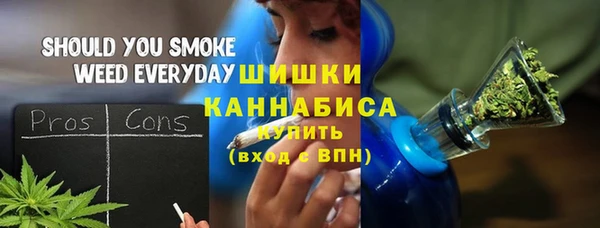 амф Верхний Тагил