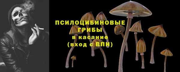 гидра Бородино