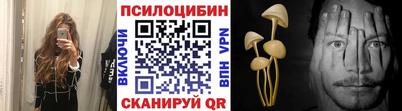 Галлюциногенные грибы мицелий  ссылка на мегу рабочий сайт  Гороховец  сколько стоит 